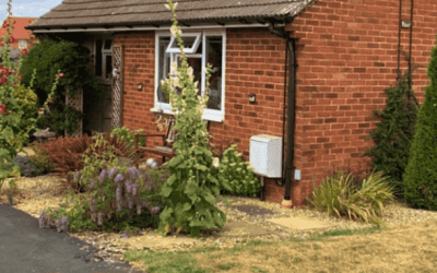 Council Partnership Success Story